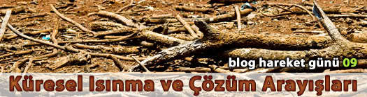 Küresel Isınma ve Çözüm Arayışları