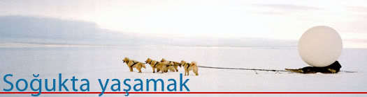 Soğukta yaşamak